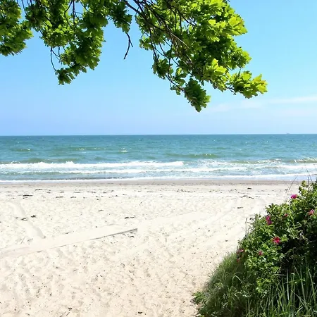 Lejlighed Strandnahe Mit Balkon, Gratis Nutzung Vom Ahoi Erlebnisbad Und Sauna In Sellin - Rex Rugia 28-8