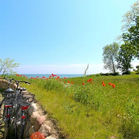 Lejlighed Strandnahe Mit Balkon, Gratis Nutzung Vom Ahoi Erlebnisbad Und Sauna In Sellin - Rex Rugia 28-8 *