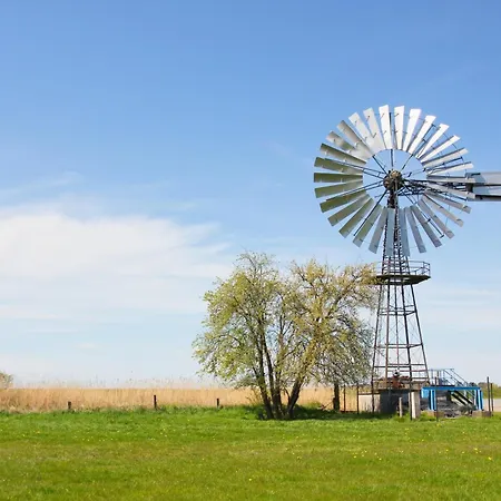Lejlighed Strandnahe Mit Balkon, Gratis Nutzung Vom Ahoi Erlebnisbad Und Sauna In Sellin - Rex Rugia 28-8 Lobbe